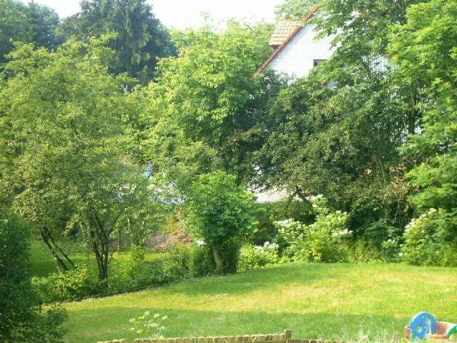 Waldpension Zum Felsenkeller Lichtenfels-Sachsenberg Exteriör bild
