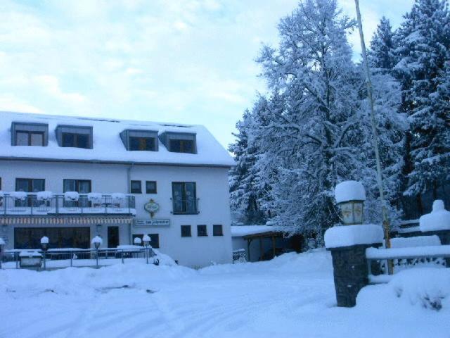Waldpension Zum Felsenkeller Lichtenfels-Sachsenberg Exteriör bild