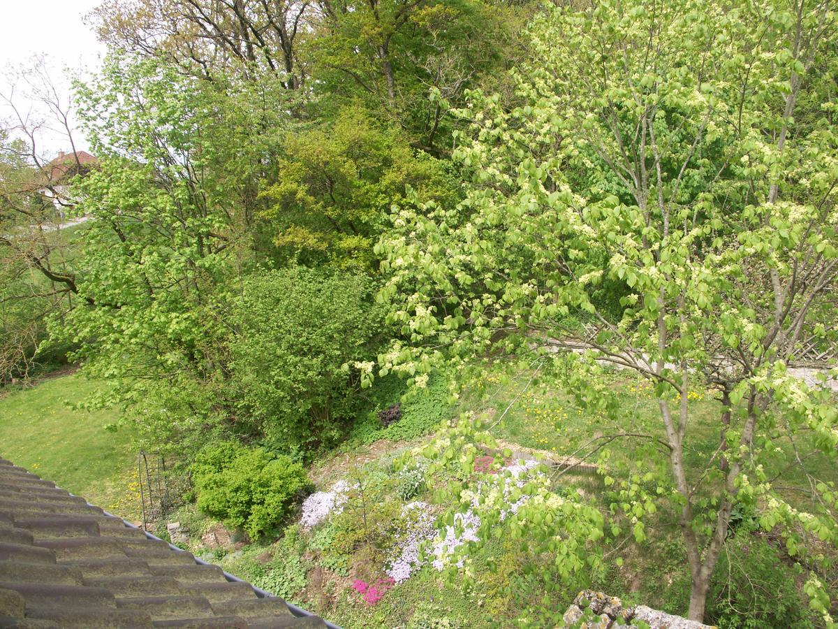 Waldpension Zum Felsenkeller Lichtenfels-Sachsenberg Exteriör bild